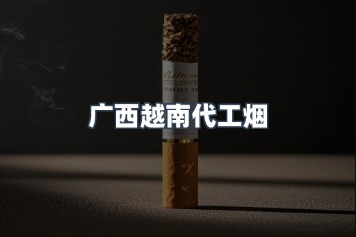 广西越南代工烟